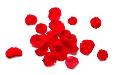 Kırmızı gül yaprakları üzerinde beyaz arka plan izole yığını