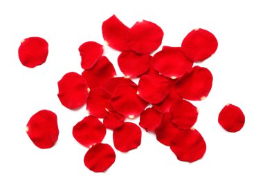 Kırmızı gül yaprakları üzerinde beyaz arka plan izole yığını