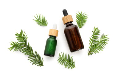 Beyaz arka planda izole edilmiş porsuk yağı şişeleri ile bileşim, yakın plan