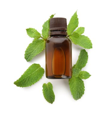 Beyaz arka planda izole edilmiş nane esanslı yağ şişesi bileşimi, yakın plan