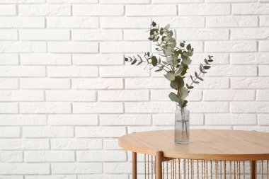 Okaliptüs dallı vazo odanın içindeki beyaz tuğla duvarın yanındaki masada.