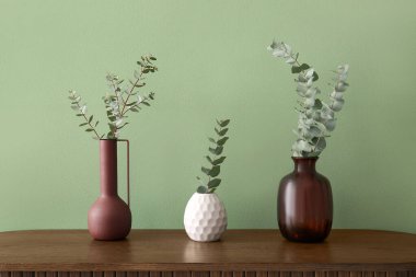 Oturma odasındaki yeşil duvarın yanında okaliptüs dalları olan vazolar.