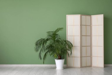 Katlanan ekran ve yeşil duvarın yanındaki ev bitkisi.