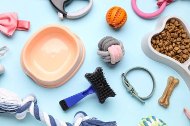 Mavi arka planda kuru hayvan maması ve aksesuarları olan kemik şeklinde bir kase, yakın plan.