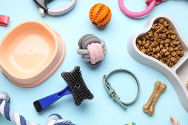 Mavi arka planda kuru hayvan maması ve aksesuarları olan kemik şeklinde bir kase, yakın plan.