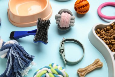 Mavi arka planda kuru hayvan maması ve aksesuarları olan bir kase, yakın plan.