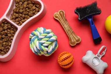 Kırmızı arka planda kuru hayvan maması ve aksesuarları olan kemik şeklinde bir kase, yakın plan.