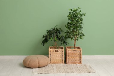 Ev bitkileri ve pouf yeşil duvarın yanında, odanın içinde, yakın plan.