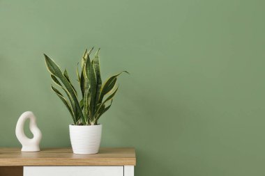 Yeşil duvarın yanındaki çekmecelerde saksı ve biblo, yakın plan.