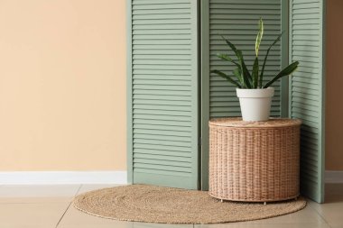 Yeşil katlanan ekran, hasır masa ve odada bej duvarın yanındaki bitki örtüsü.