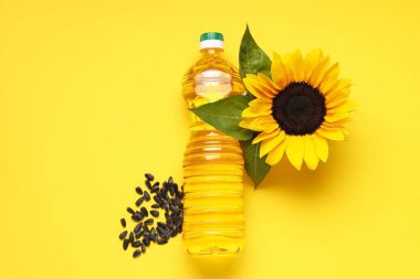 Ayçiçekli bir şişe yağ ve sarı arka planda tohumlar.