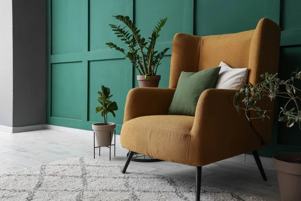 Rahat koltuğu ve yeşil duvarın yanında bitkileri olan şık bir oturma odası.