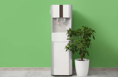 Modern su soğutucusu ve yeşil duvarın yanındaki bitki örtüsü.