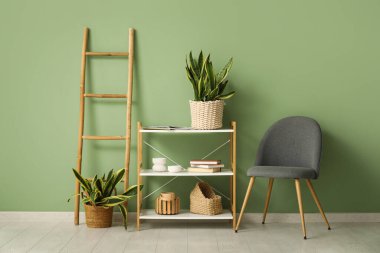 Yeşil duvarın yanında sansevieria bitkileri, sandalye ve raf ünitesi olan şık bir oda.