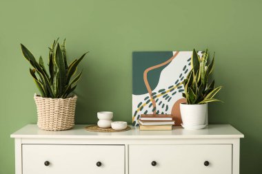 Sandık sandık sandık sandık Sansevieria bitkileri, kitaplar ve resim yeşil duvarın yanında.