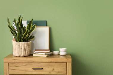 Sandık sandık sandık sandık Sansevieria fabrikası, kitaplar ve fotoğraf çerçevesi yeşil duvarın yanında.