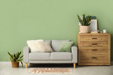 Sansevieria bitkileriyle, kanepe ve çekmecelerle dolu yeşil duvarın yanında şık bir oda.