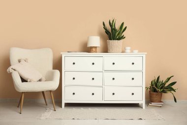 Koltuk, çekmece sandığı ve odanın iç tarafındaki bej duvarın yanındaki sanatoryum bitkileri.