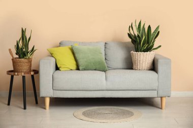 Koltuk, masa ve sansevieria, odanın içindeki bej duvarın yanında.