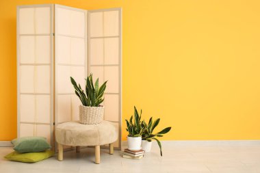 Sansevieria bitkileriyle süslü bir oda, katlanan ekran ve sarı duvarın yanında puf.