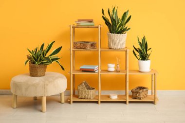 Sansevieria bitkileriyle, puf ve raf üniteleriyle sarı duvarın yanında şık bir oda.