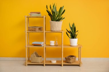 Sansevieria bitkilerinin, kitapların ve sepetlerin bulunduğu raflar sarı duvarın yanında.