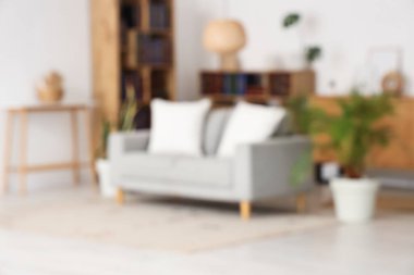 Oturma odası, kanepe, kitap rafları ve ev bitkileriyle bulanık görünüyor.