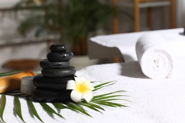 Havlulu spa taşları, palmiye yaprağı ve salonda kanepede bir çiçek.