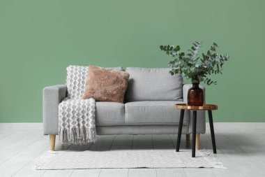 Oturma odasındaki yeşil duvarın yanındaki masada okaliptüs dalları olan kanepe ve vazo.