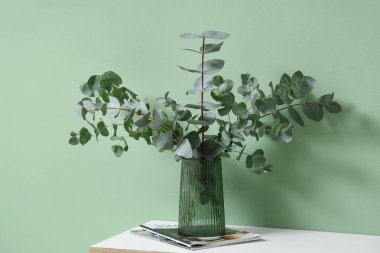 Okaliptüs dallarıyla dolu dergiler ve vazolar. Odadaki yeşil duvarın yanındaki çekmecelerin yanında.