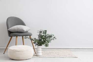 Okaliptüs dallı sandalye ve vazo. Beyaz duvarın yanında, odada.
