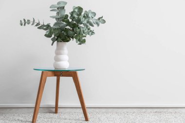 Okaliptüs dallarıyla dolu vazo beyaz duvarın yanındaki odada.