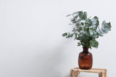 Eucalyptus twigs in vase on stepladder near white wall in room