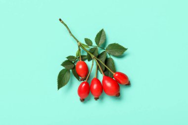 Taze gül böğürtlen ve turkuaz arka planda yapraklar