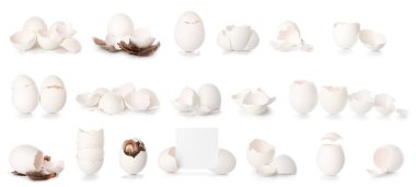 Beyaz arkaplanda yumurta kabukları.