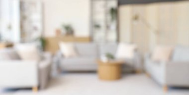 Gri kanepeler, kahve masası ve bitkilerle aydınlık oturma odasının bulanık görüntüsü