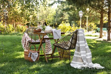 Battaniye, sepet, papatya çiçeği ve çaydanlık olan rahat hasır sandalyeler parkta, dışarıda