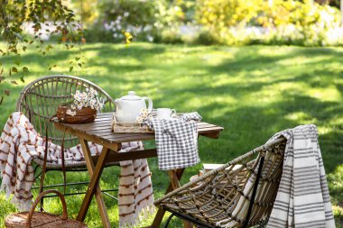 Battaniyeli rahat hasır sandalyeler, papatya çiçekleri ve çaydanlık parkta, açık havada.