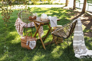 Battaniye, sepet, papatya çiçeği ve çaydanlık olan rahat hasır sandalyeler parkta, dışarıda