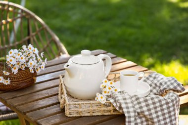 Rahat hasır sandalye, papatya çiçekleri ve çaydanlık parkta, açık havada.