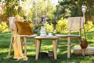 Rahat hasır sandalyeli sevimli kedi, kahve fincanı ve vazo çiçekleri parkta, açık havada