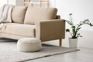 Oturma odasında kabarık ve bitkili gri kanepe.