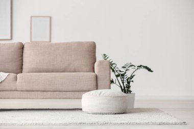 Oturma odasında kabarık ve bitkili gri kanepe.