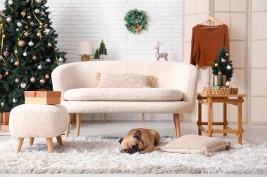 Noel arifesinde tatlı bir köpek evde yatıyor.