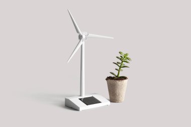 Rüzgar türbini modeli ve beyaz arka planda ev bitkisi