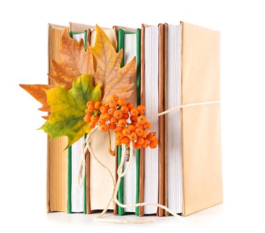 Sonbahar yapraklı farklı kitaplar ve beyaz arka planda yabanmersini.