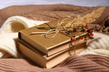 Şık kazaklı ve sonbahar dekorasyonlu kitaplar, yakın plan.