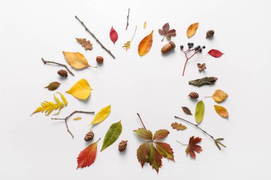 Beyaz arka planda sonbahar yaprakları, böğürtlen ve köknar kozalaklarından yapılmış çerçeve