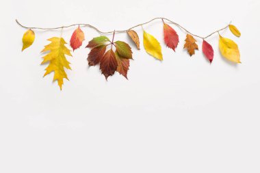 Sonbahar yaprakları beyaz arkaplanda asılı olan kompozisyon