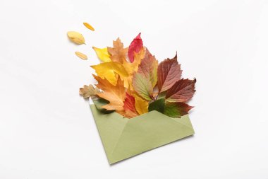 Zarflı ve beyaz arkaplanda yapraklı güzel sonbahar kompozisyonu